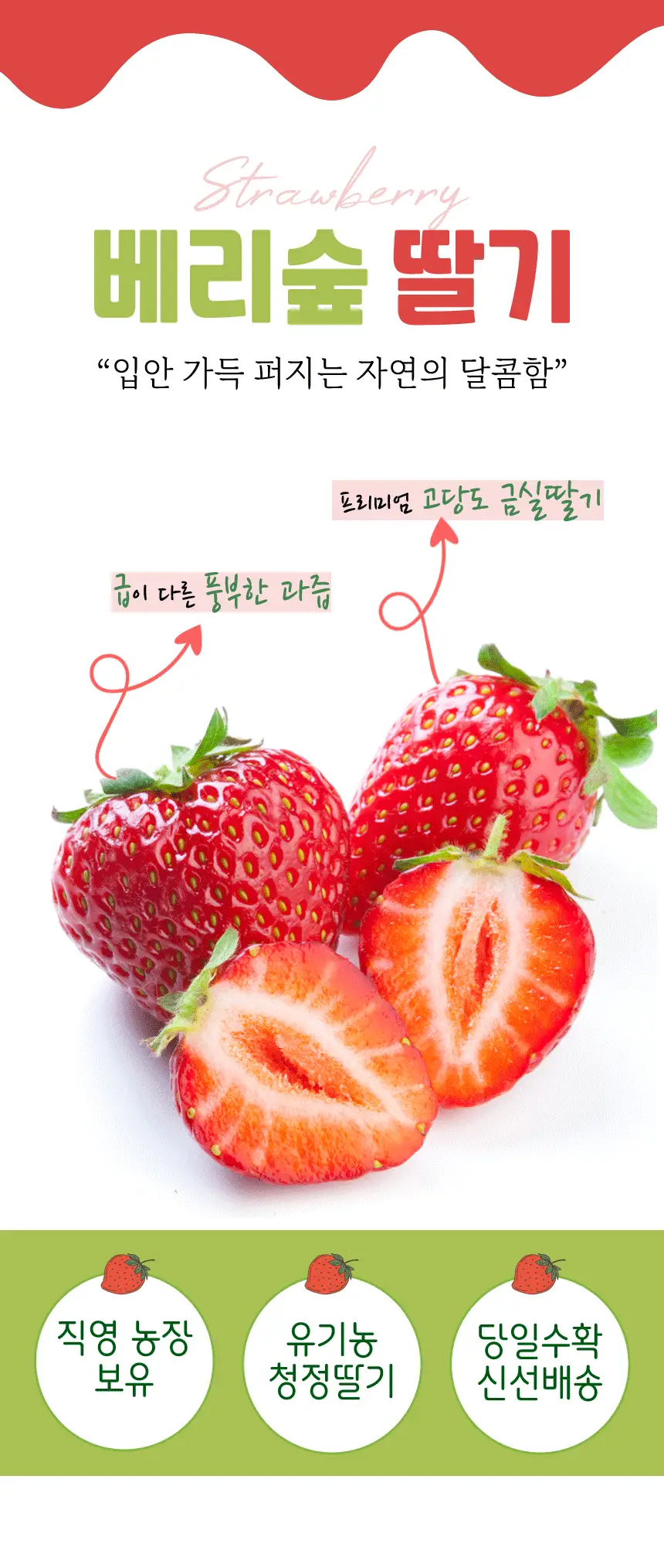 이미지 3