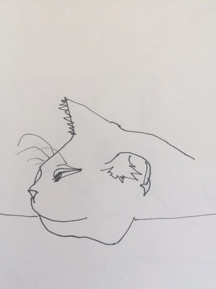 이미지 5
