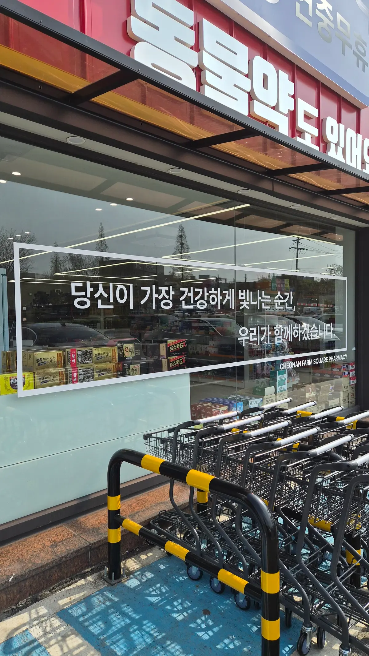 이미지 4