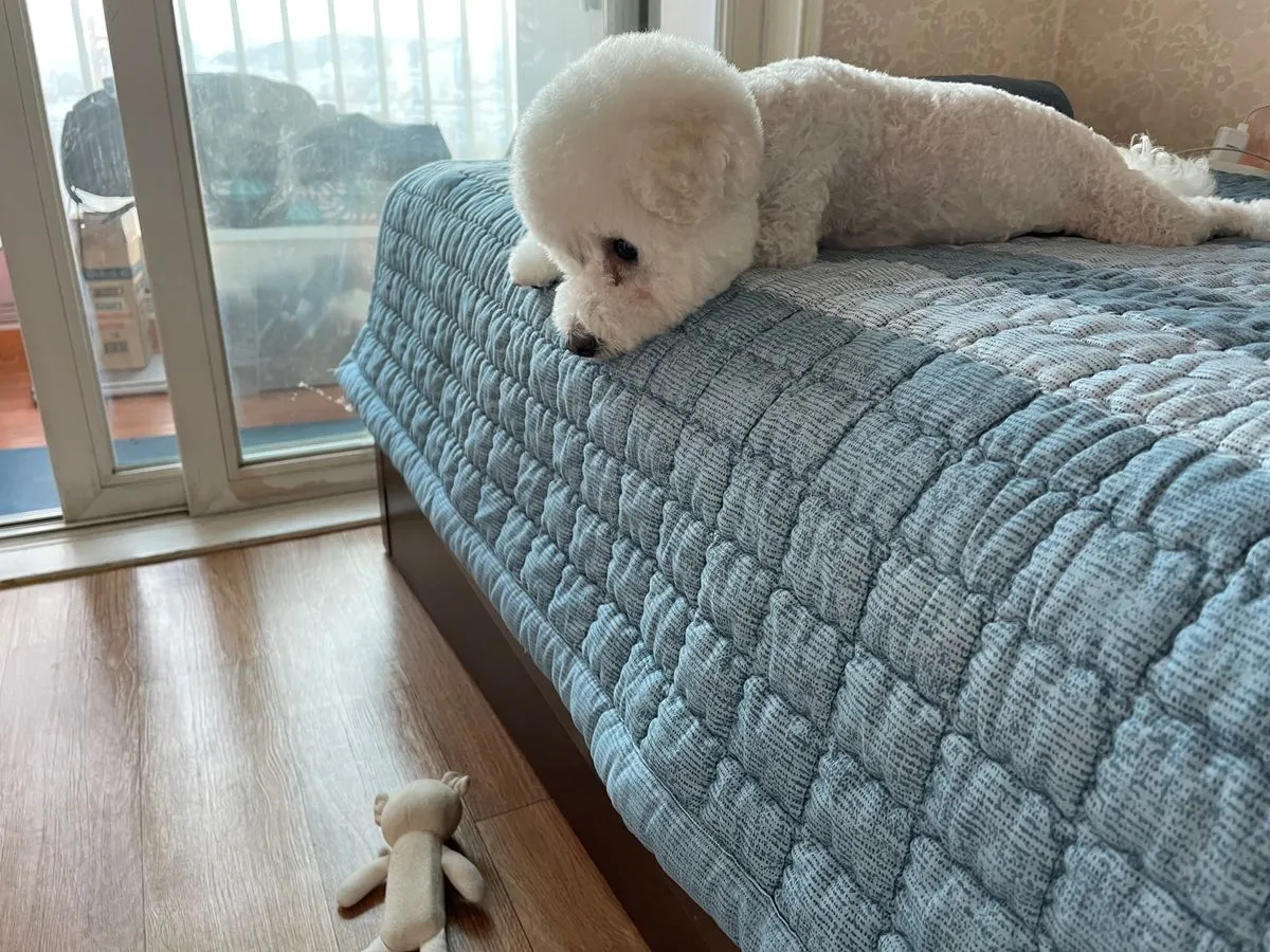 이미지 6