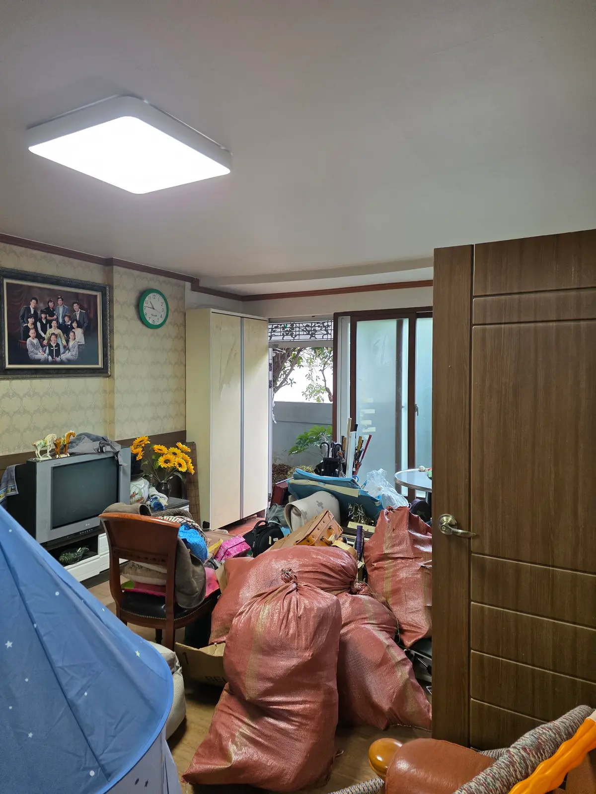 이미지 12