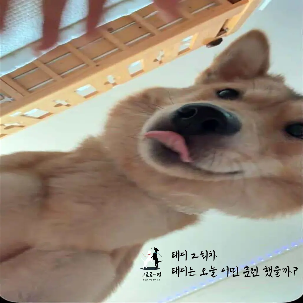 이미지 4