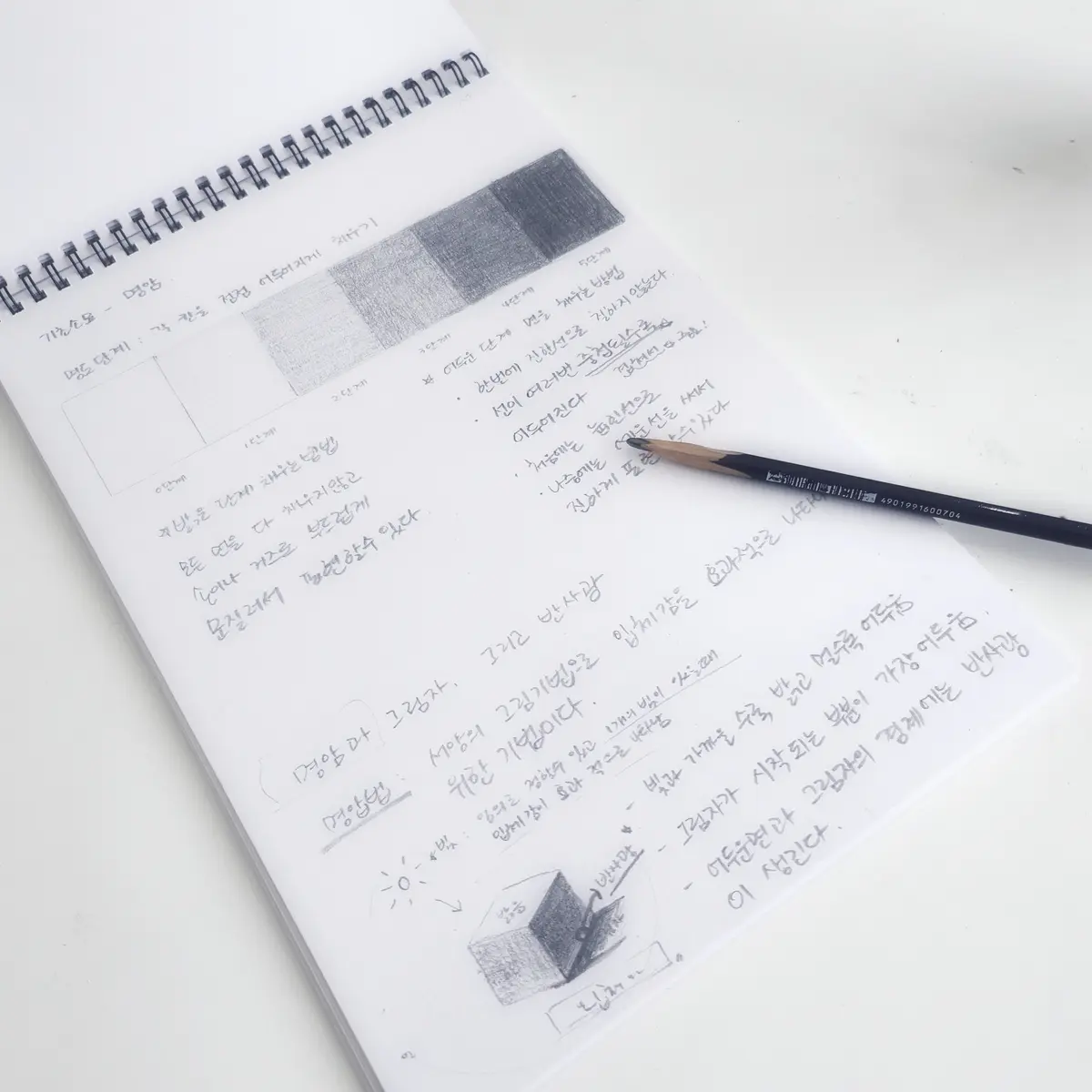 이미지 11
