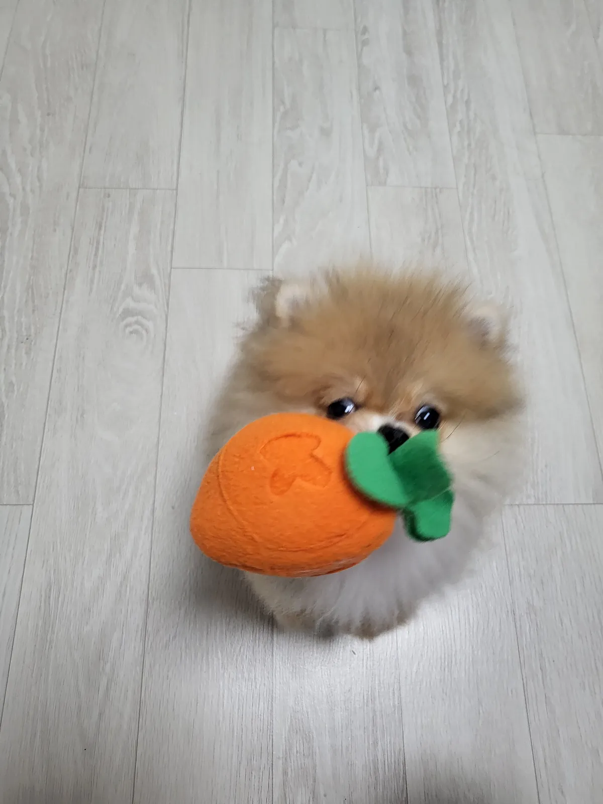 이미지 4