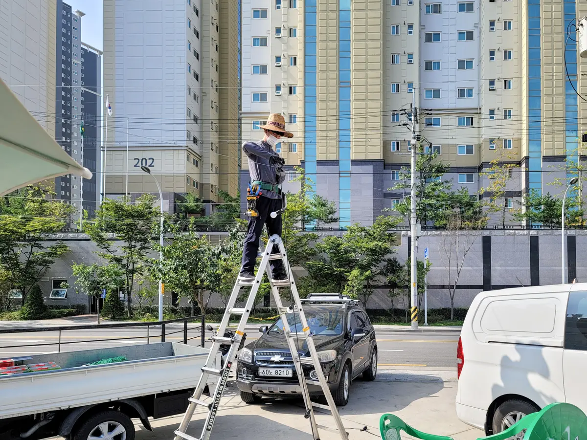 이미지 6