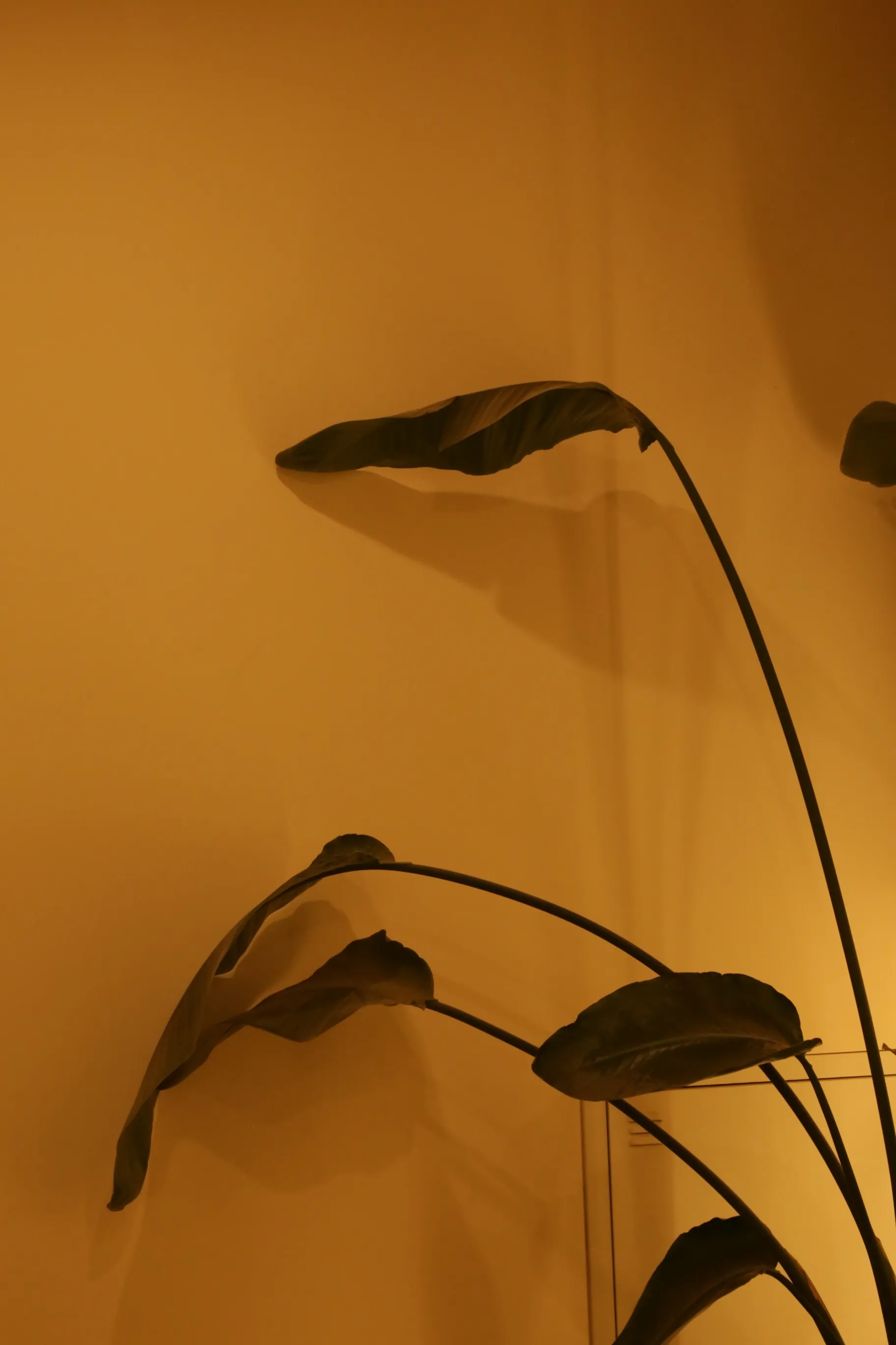 이미지 8