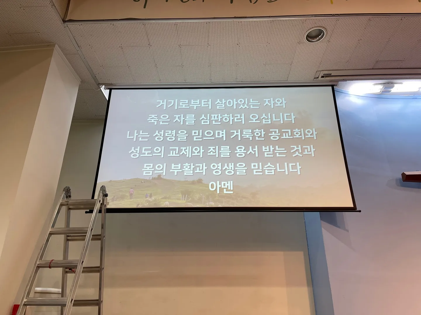 이미지 9