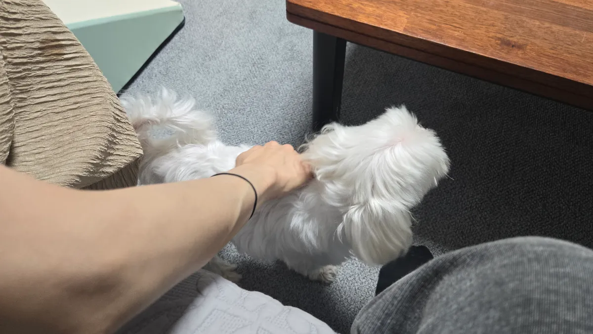 이미지 8