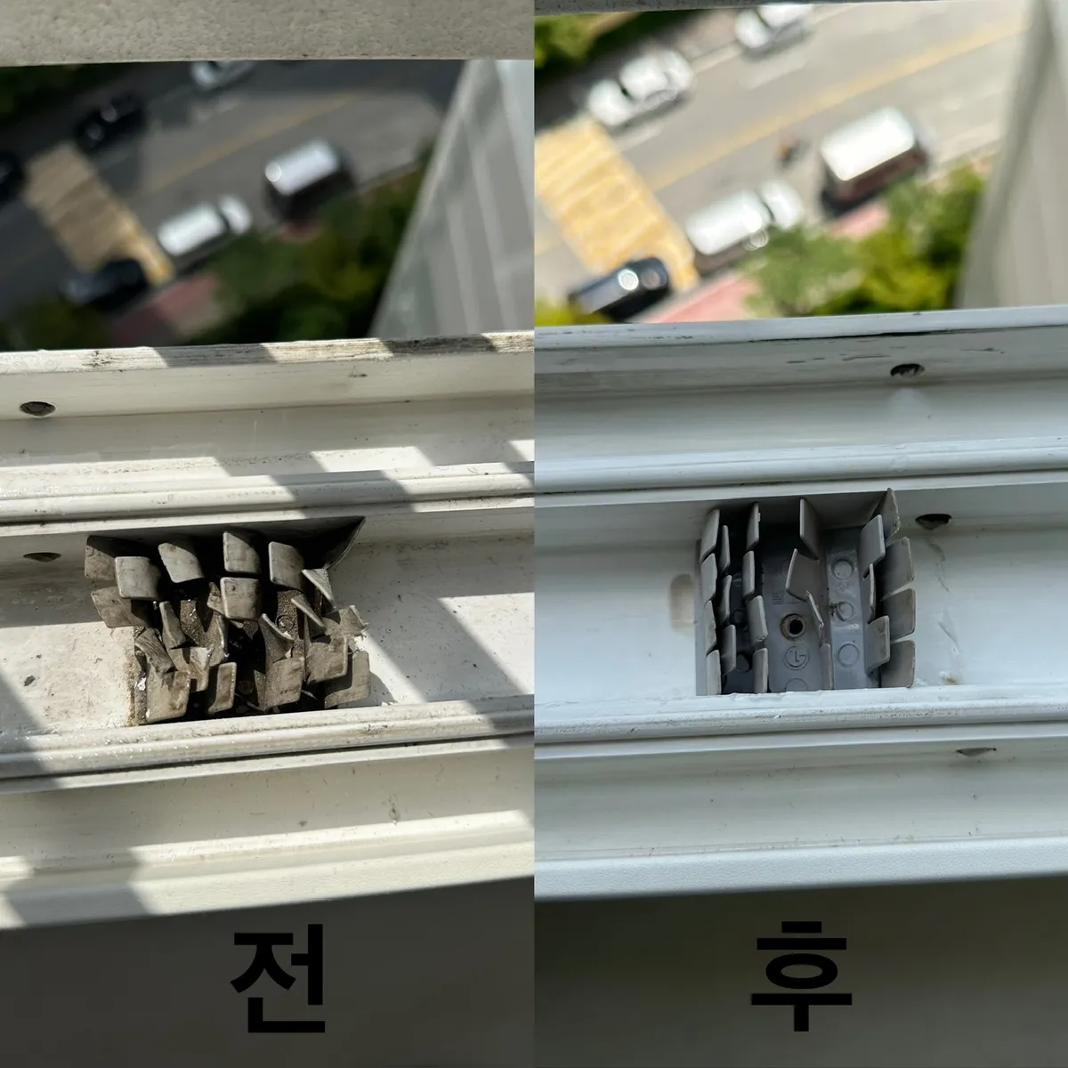이미지 12