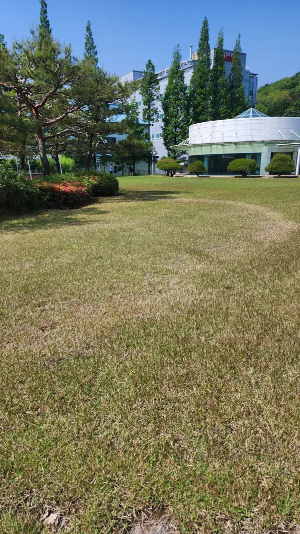 이미지 10