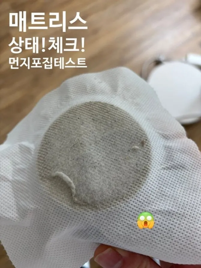 이미지 6