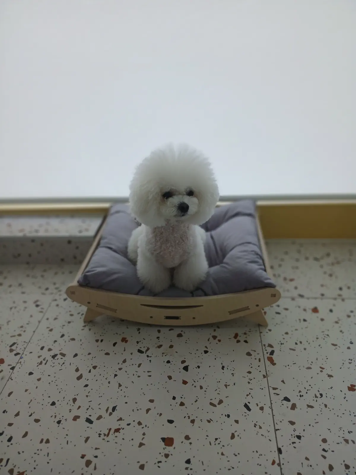 이미지 4