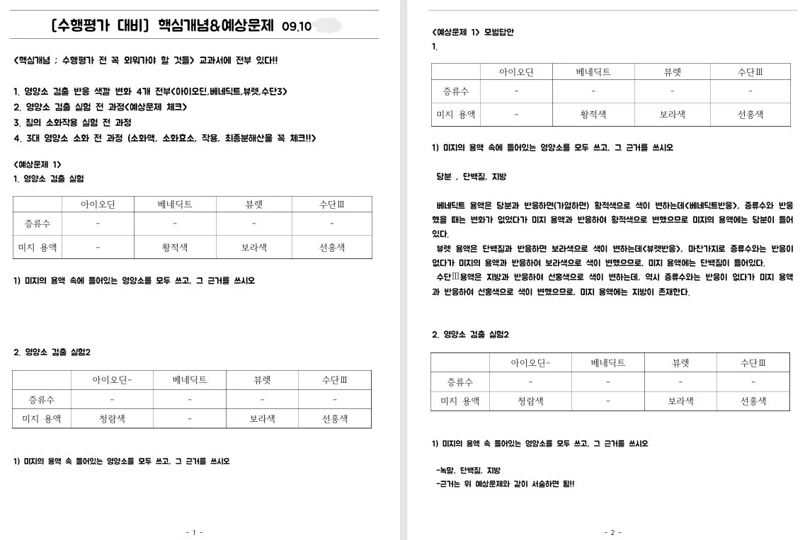 이미지 4