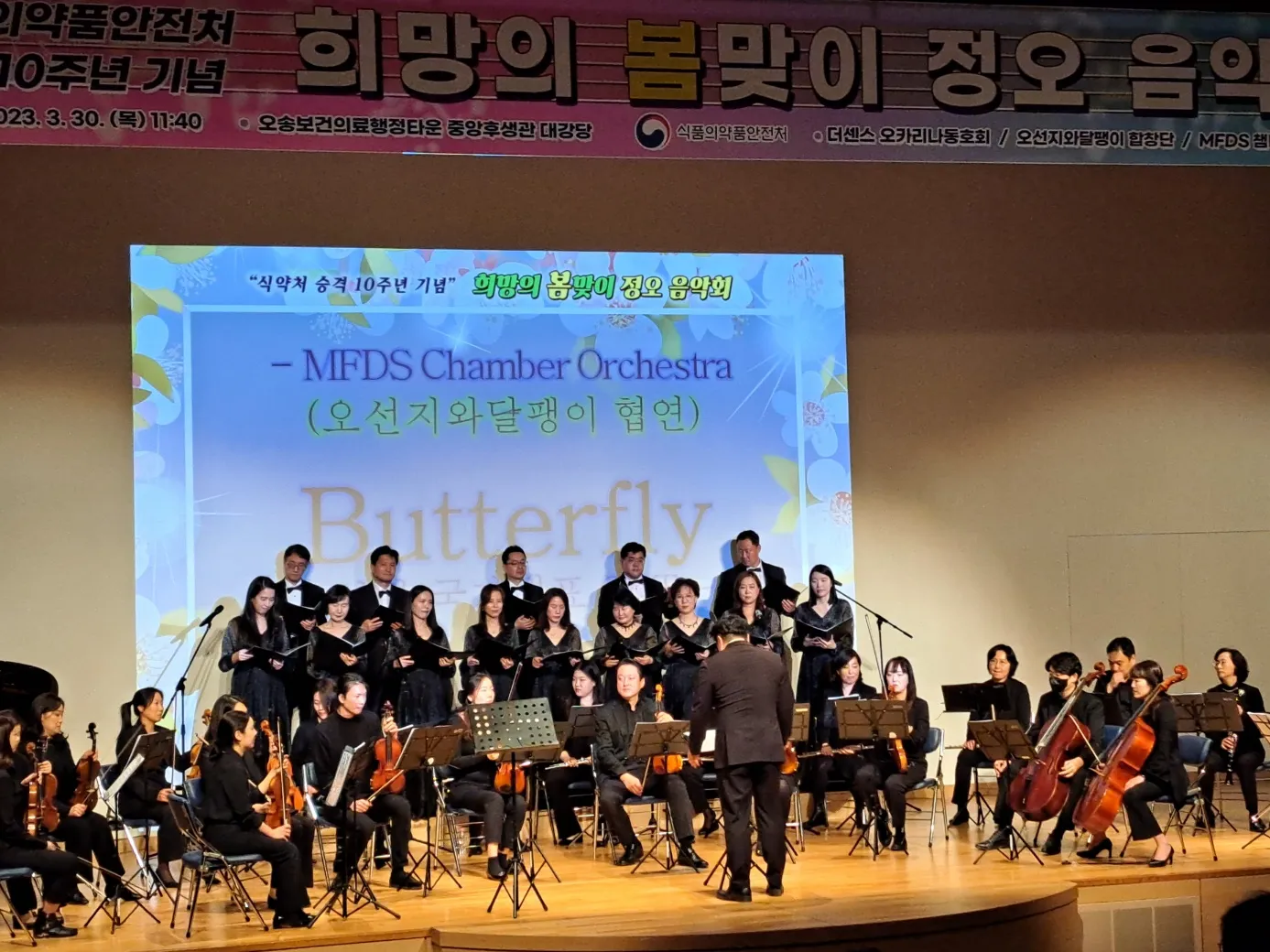 이미지 11