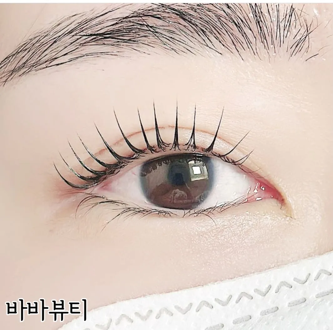 이미지 3