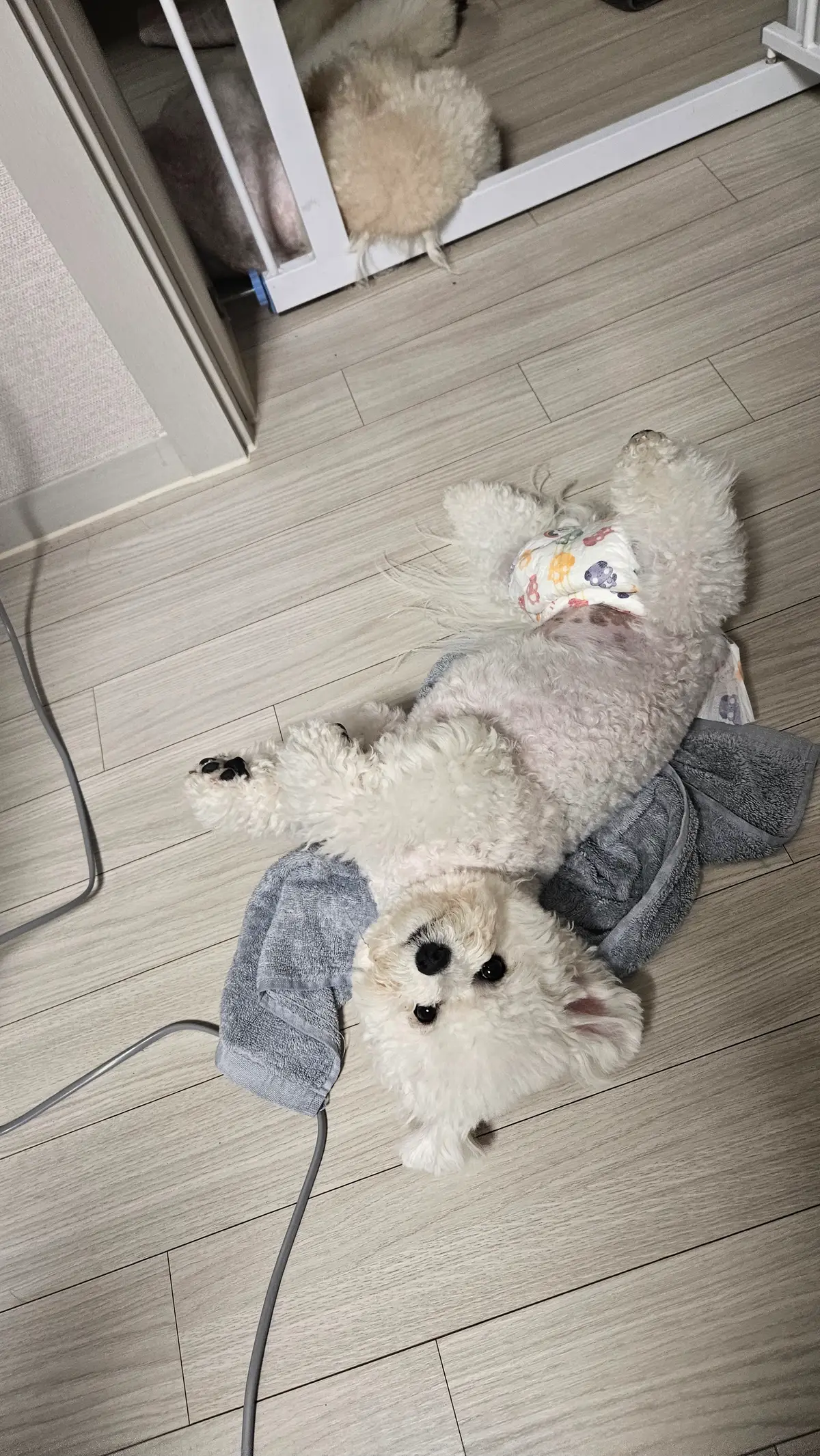 이미지 7