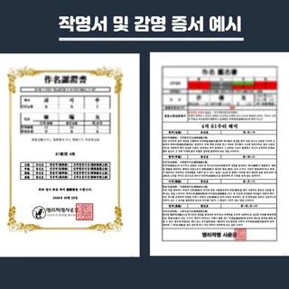 STANDARD - 운을 담는 사주맞춤 신생아 작명&개명