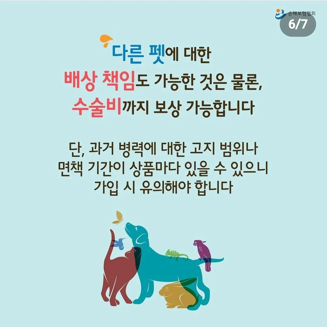 이미지 7