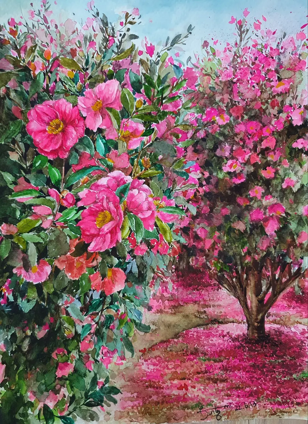 포트폴리오 이미지