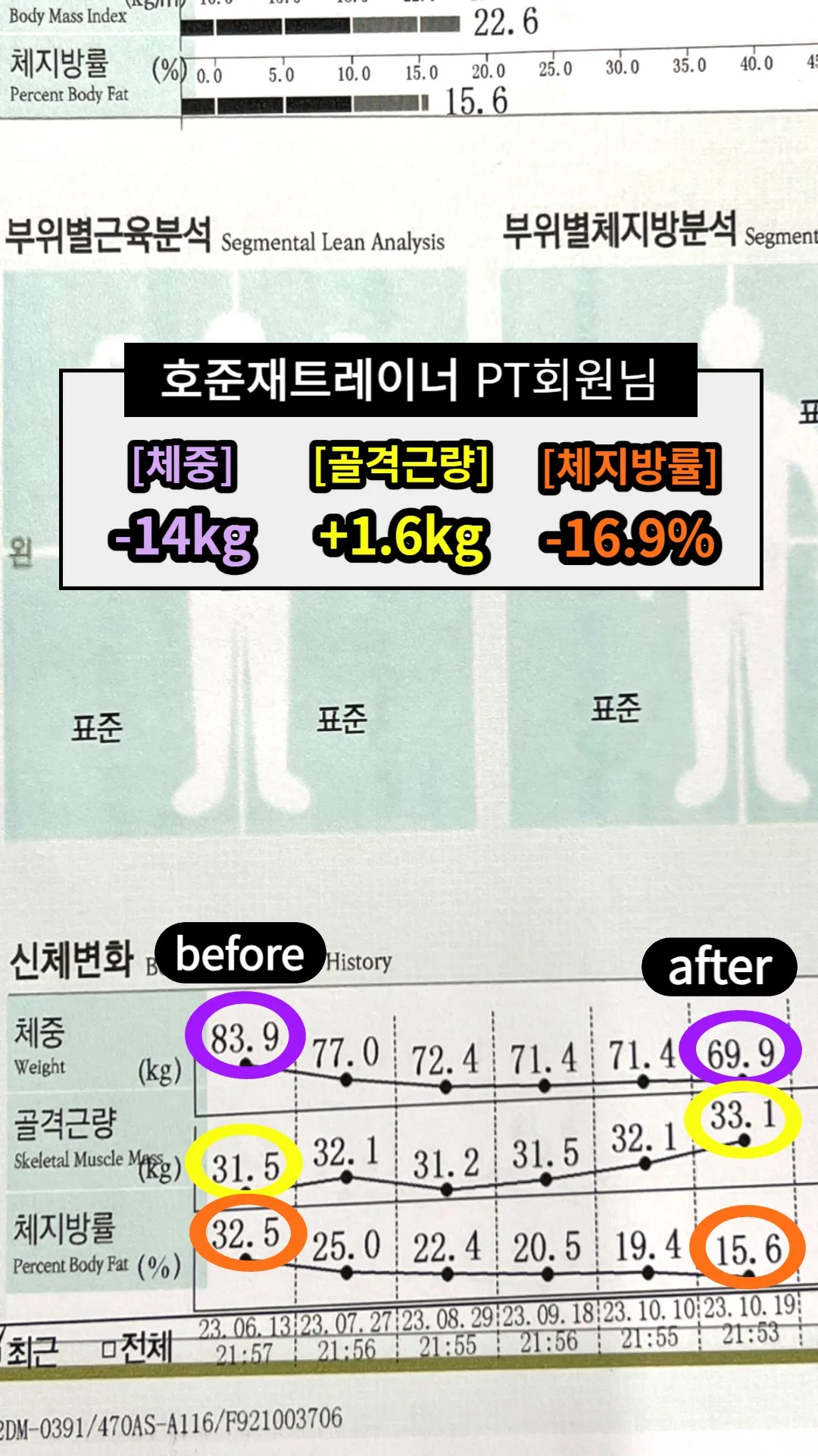 이미지 8