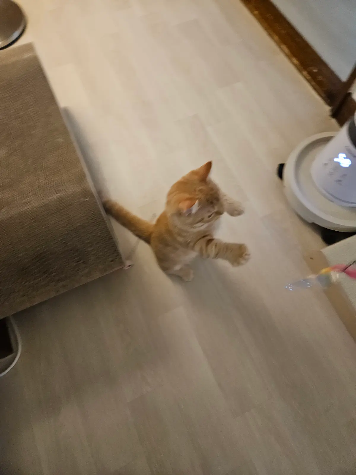 이미지 3