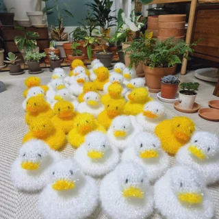 오리수세미