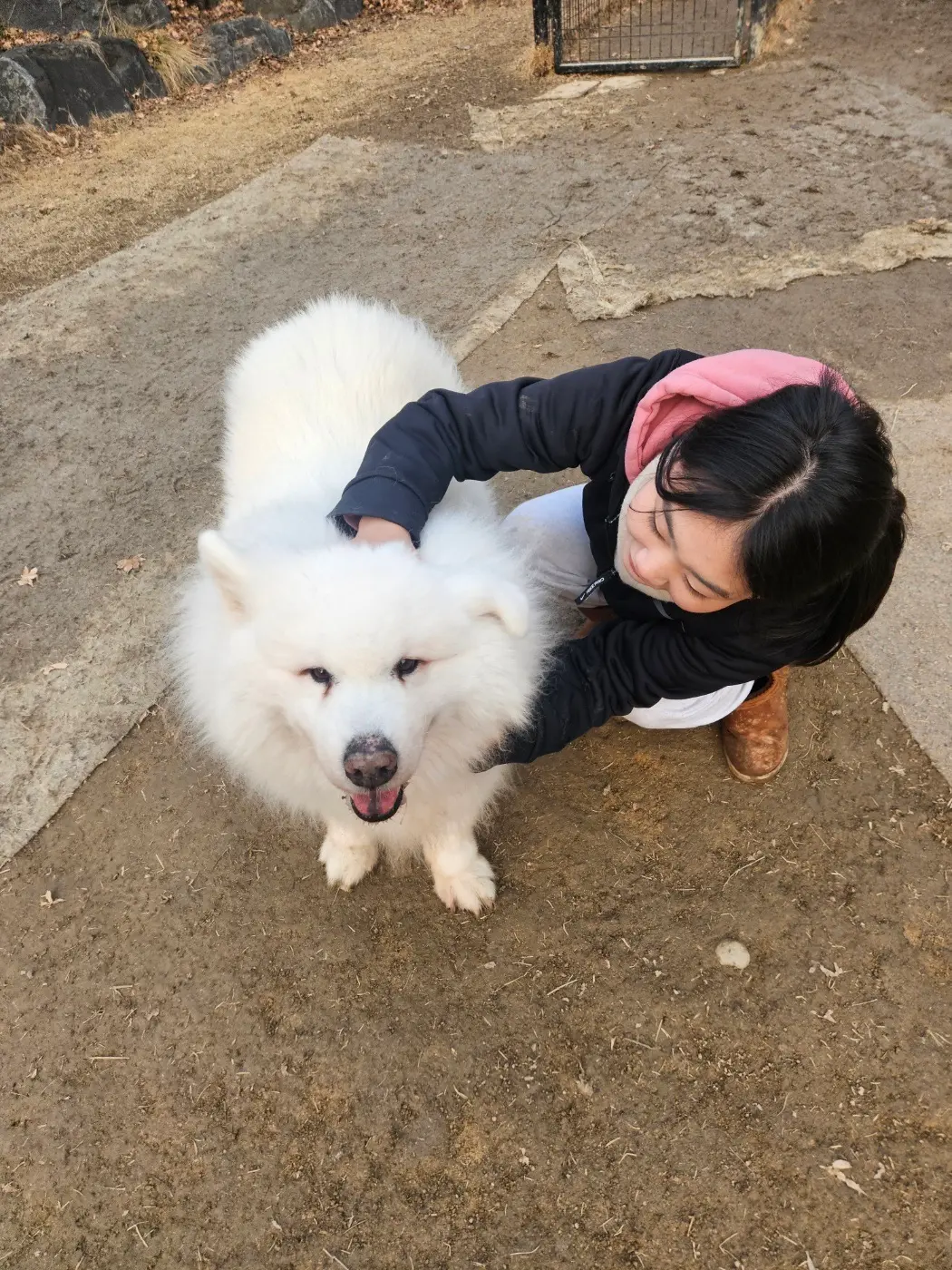 이미지 7