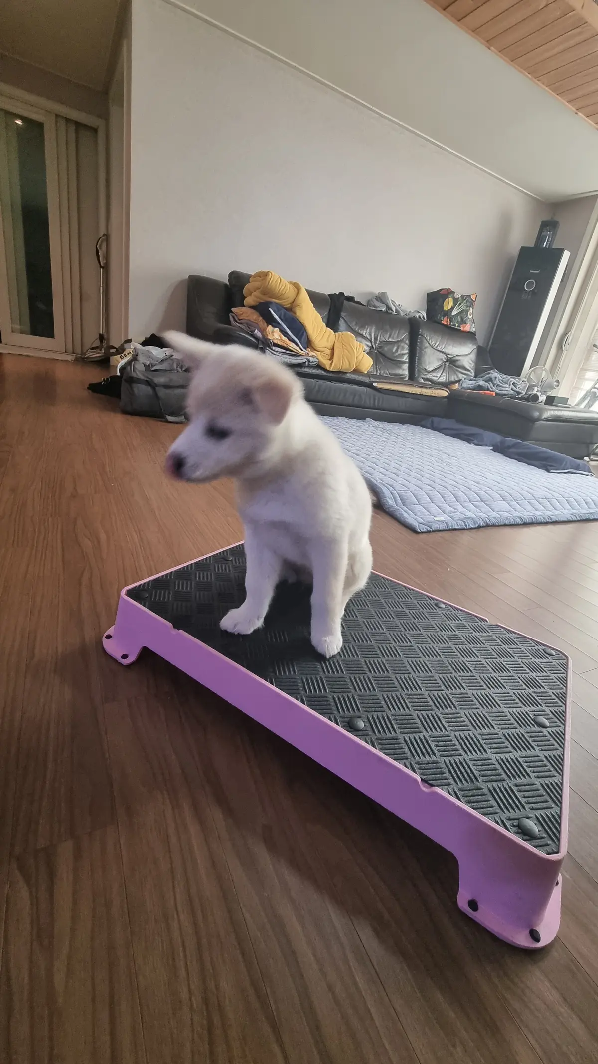 이미지 3