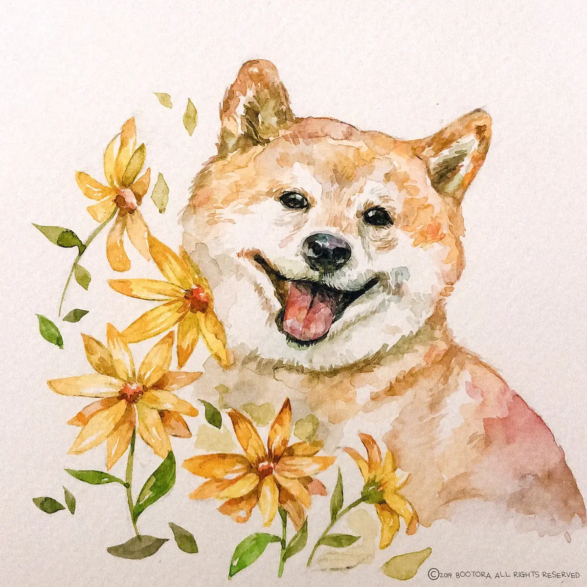 이미지 4