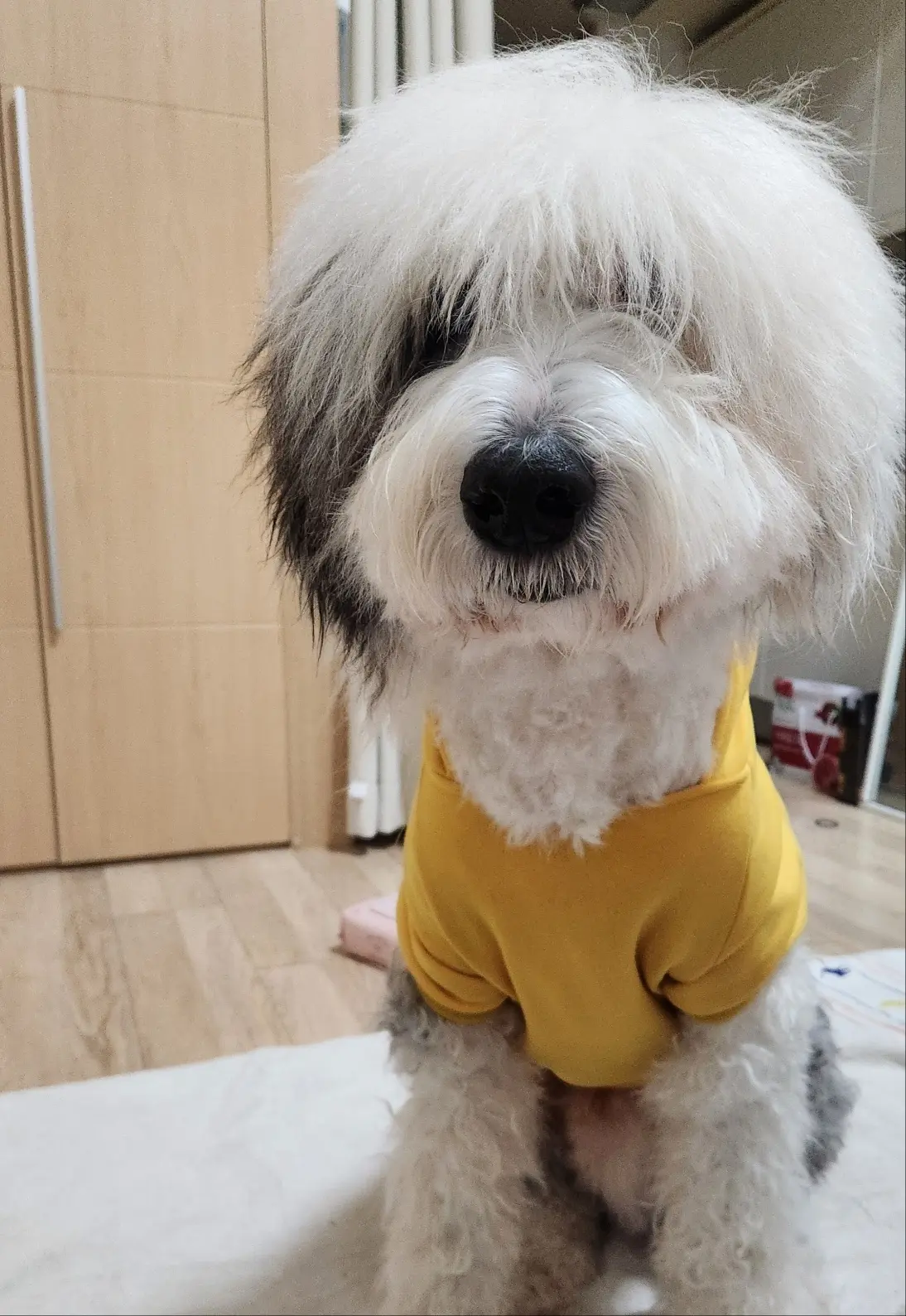 이미지 6