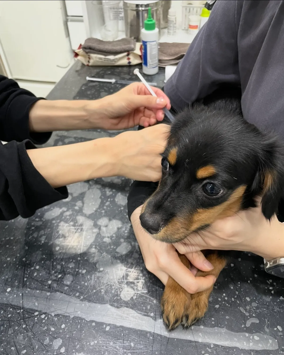 이미지 24