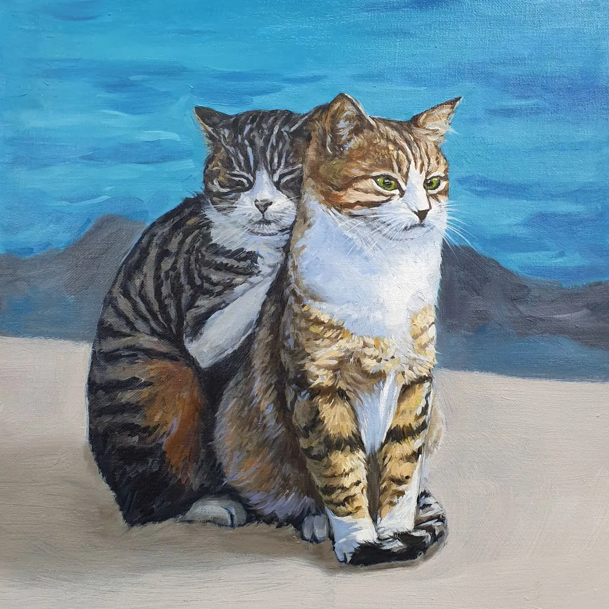 포트폴리오 이미지