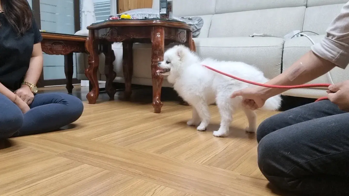 이미지 3