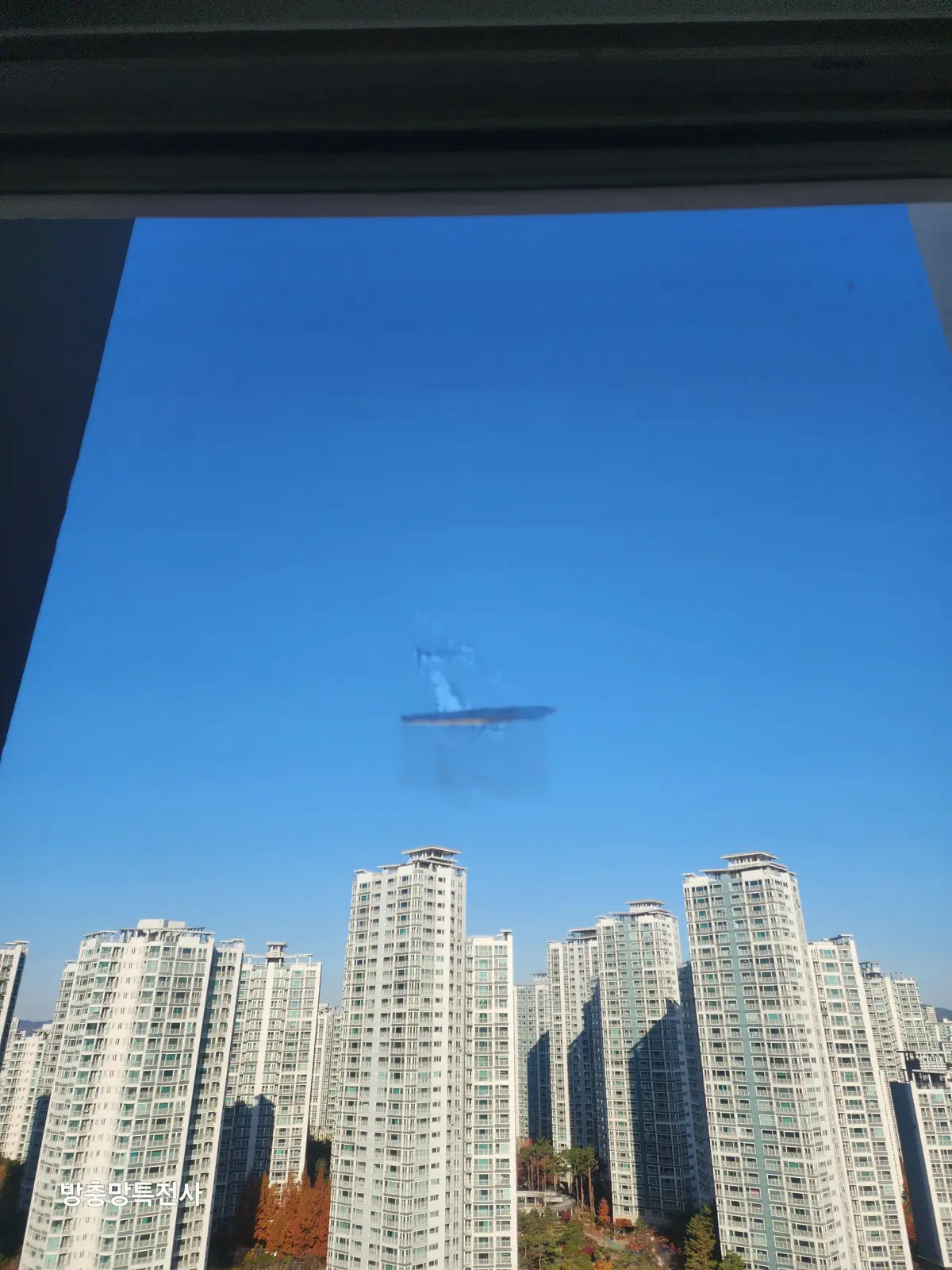 이미지 4