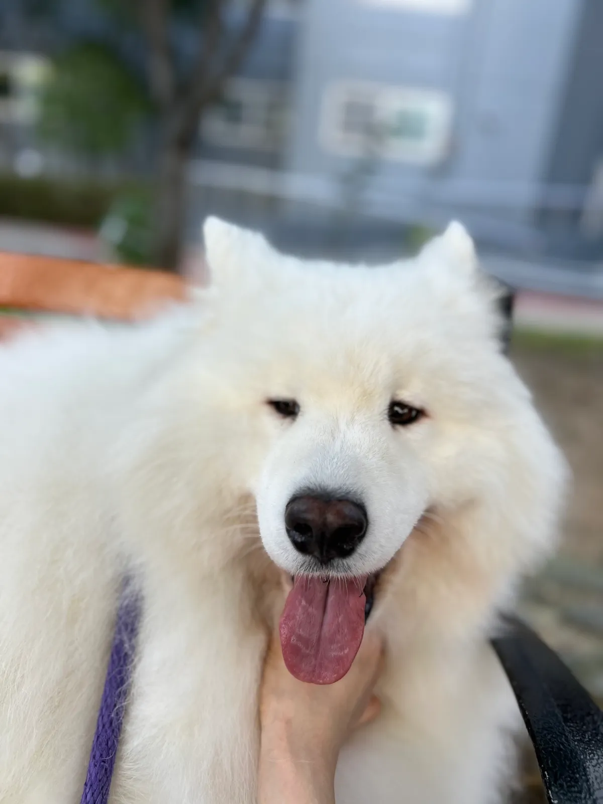 이미지 3