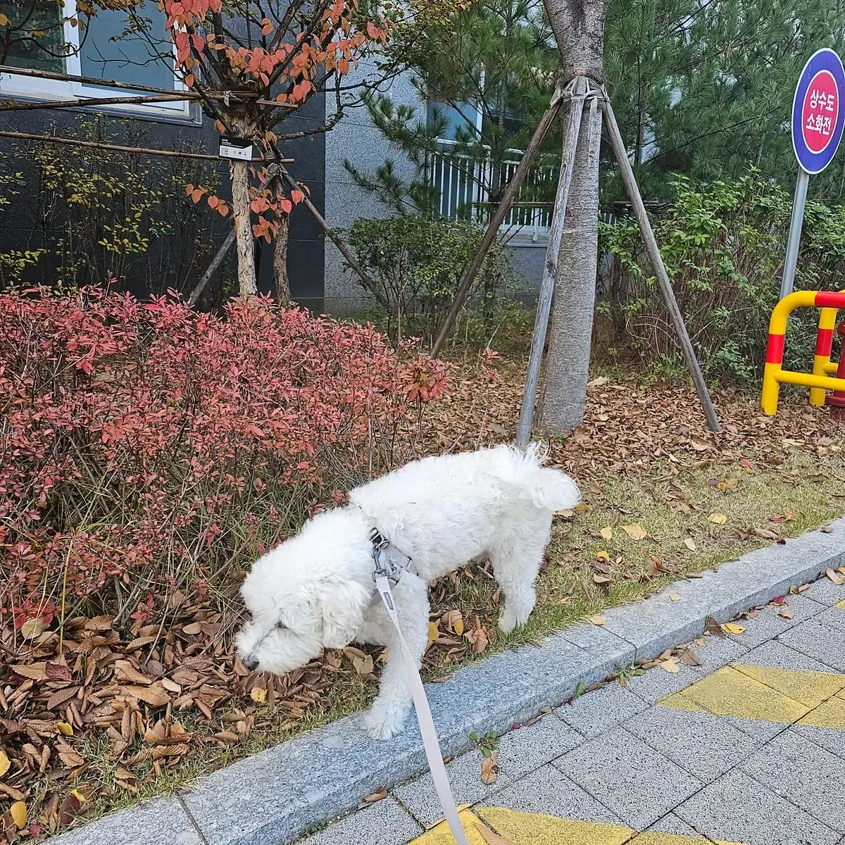 이미지 7