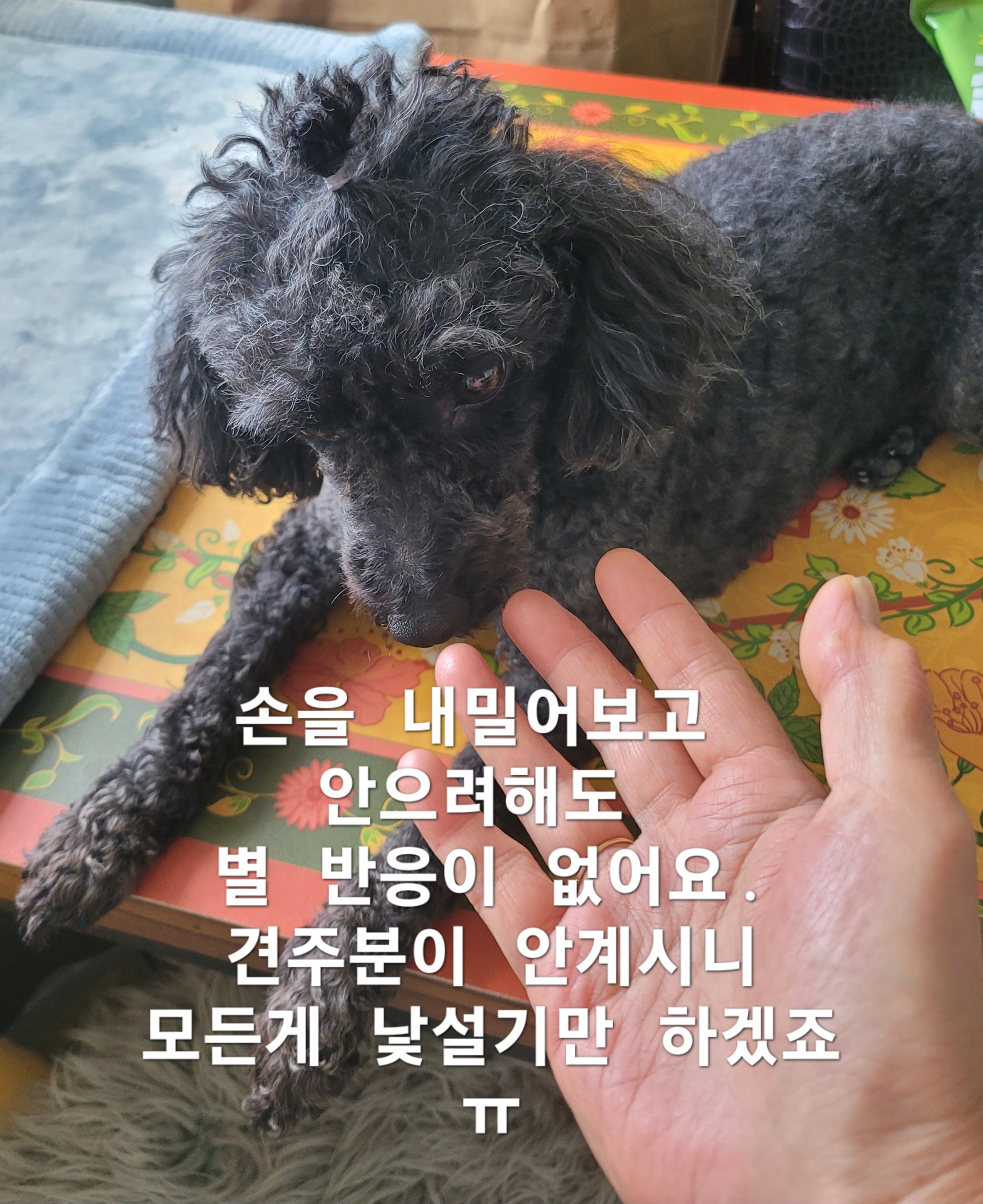 이미지 3