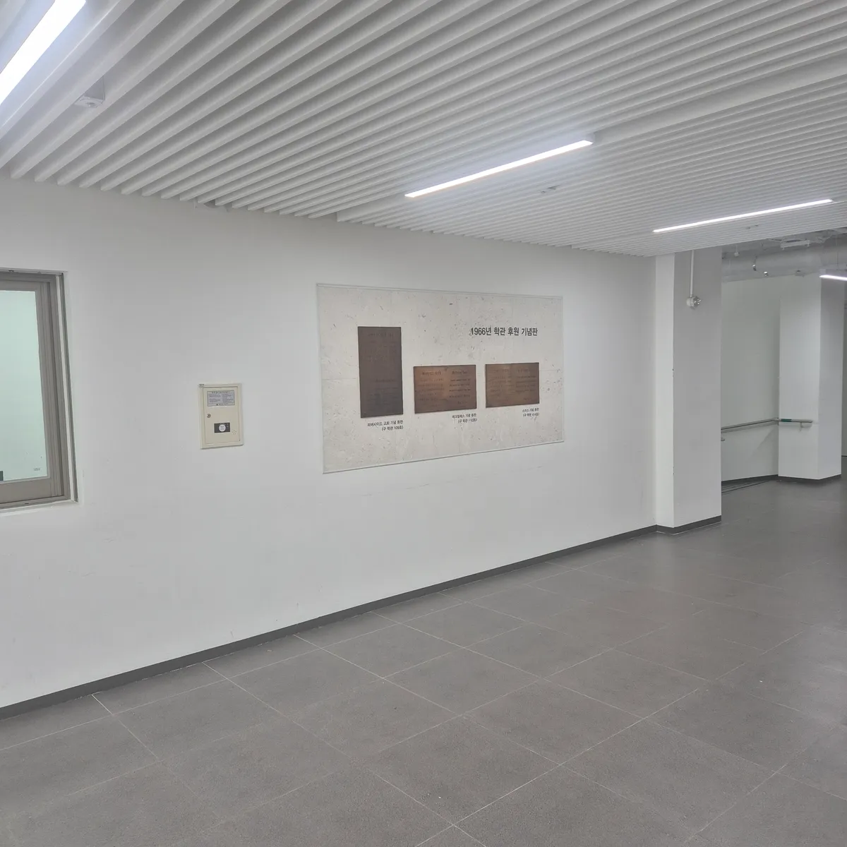 이미지 5