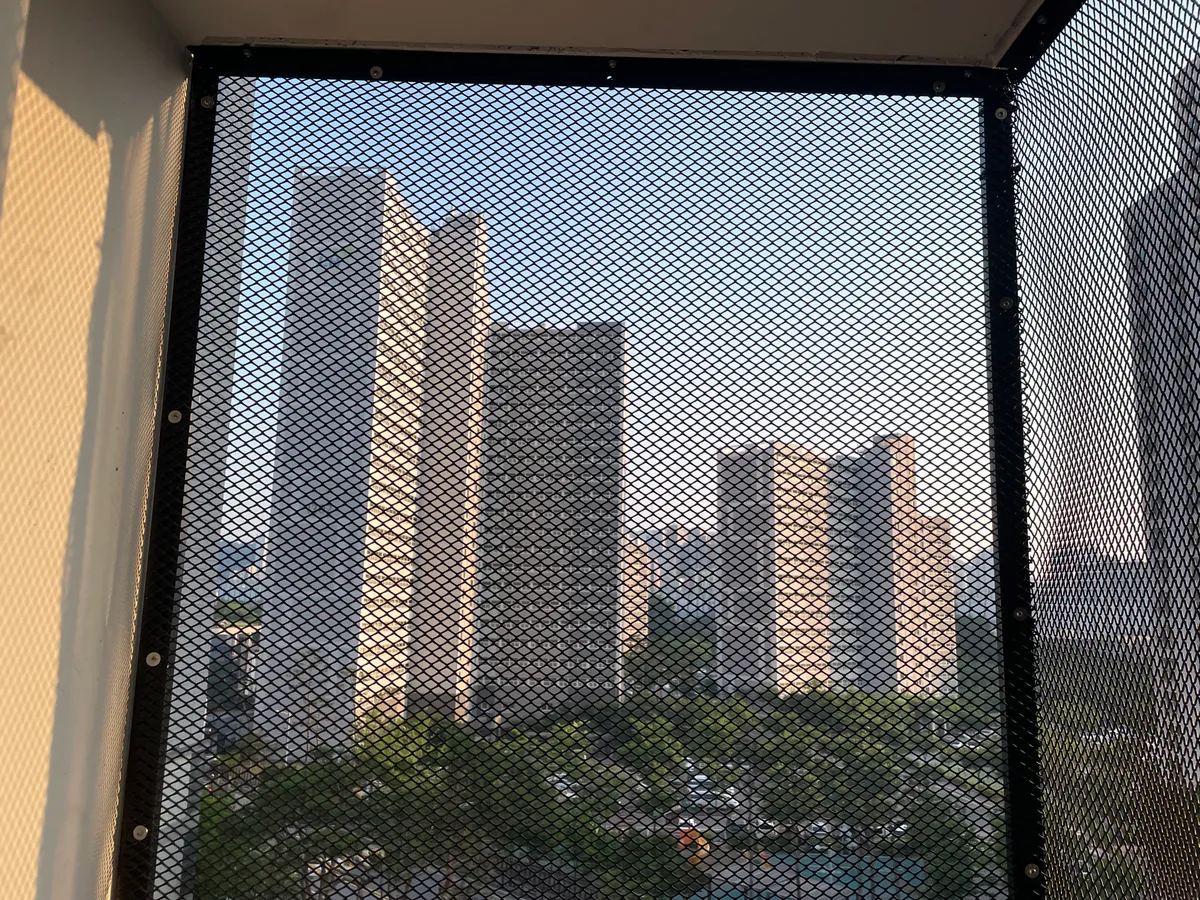 이미지 10