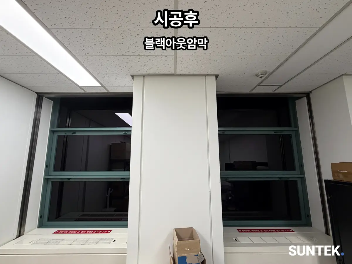 이미지 11