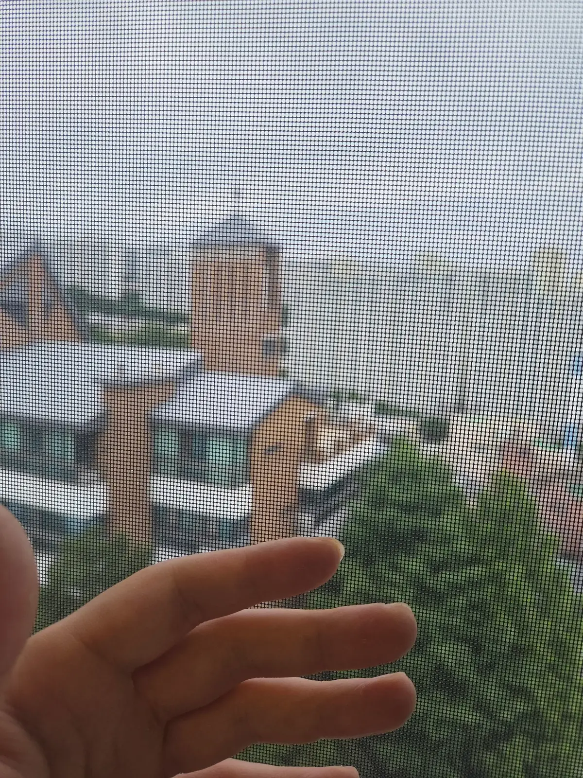 이미지 6