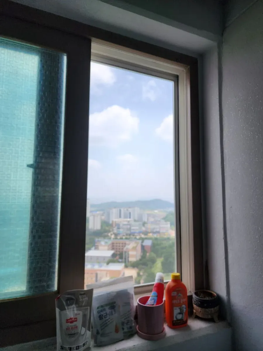 이미지 9
