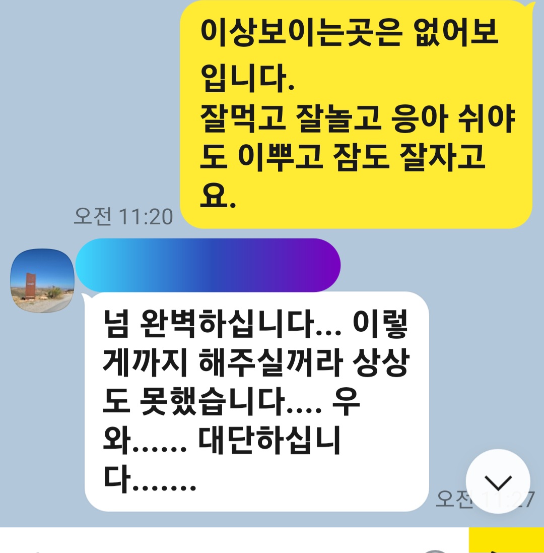 이미지 11