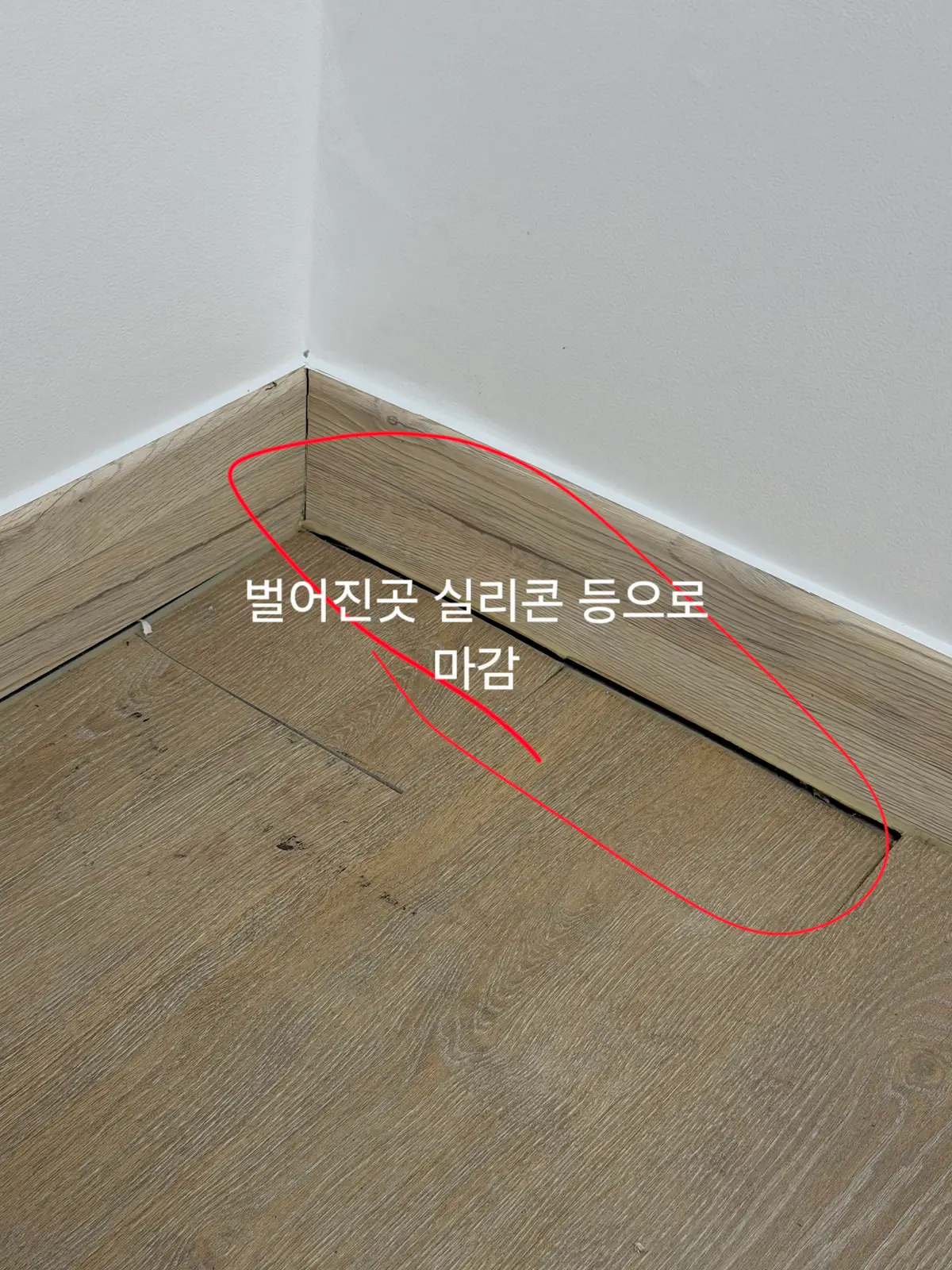 이미지 10