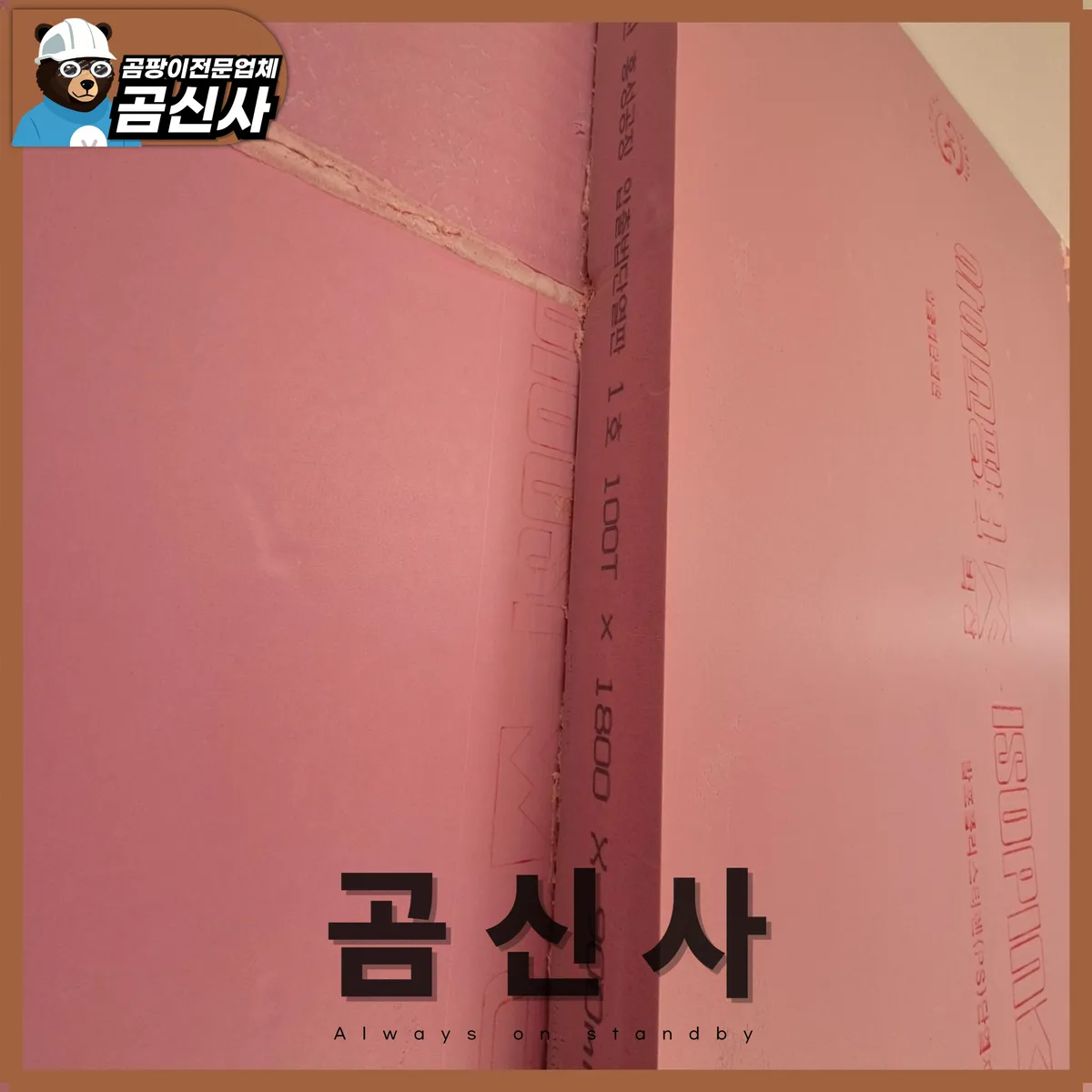 이미지 8