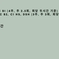 독일어 과외 커리큘럼
