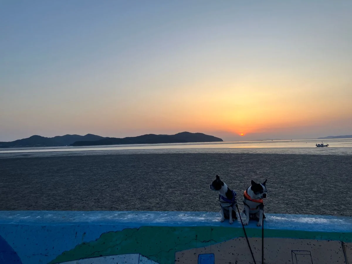 포트폴리오 이미지