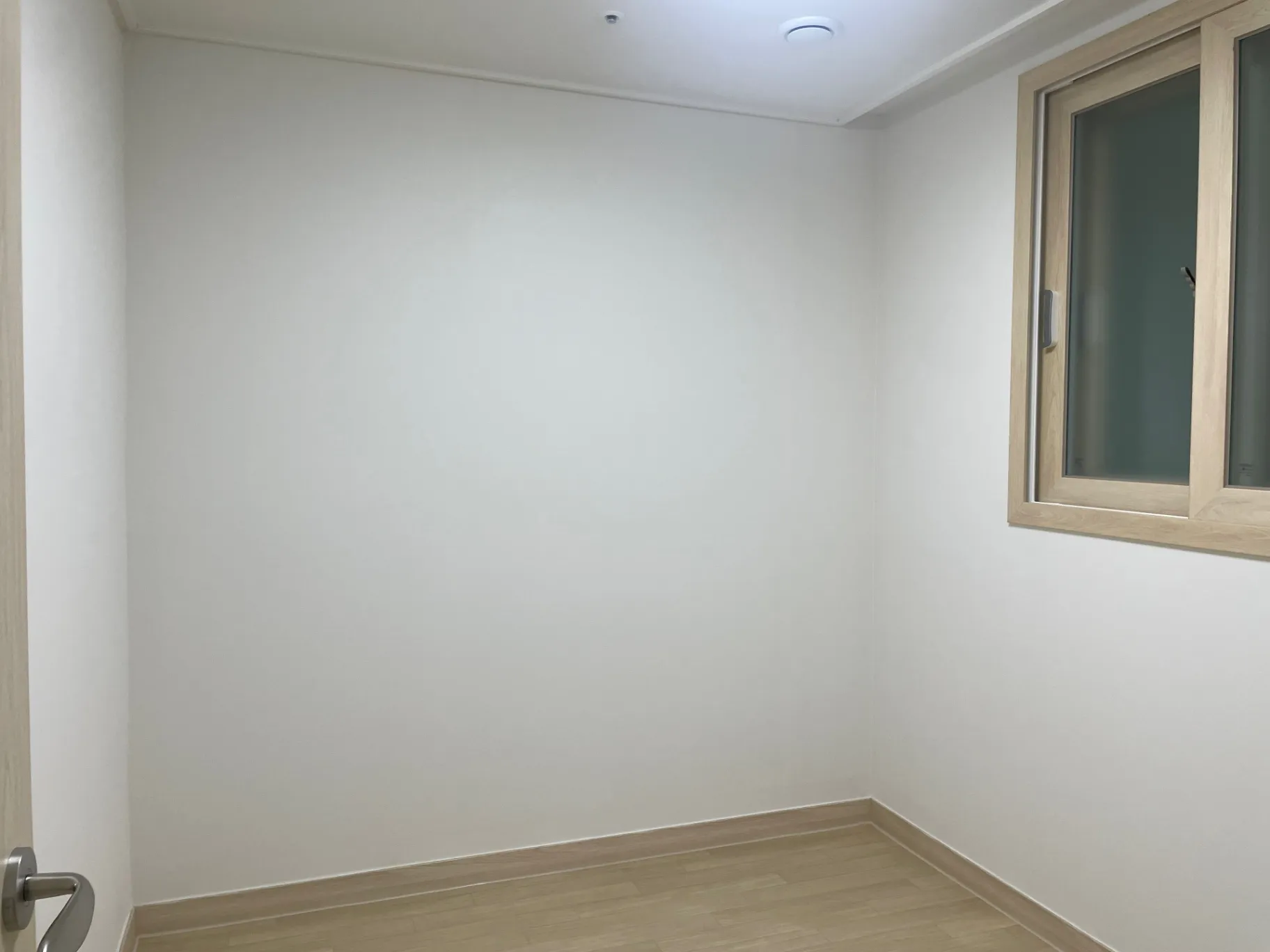 이미지 4