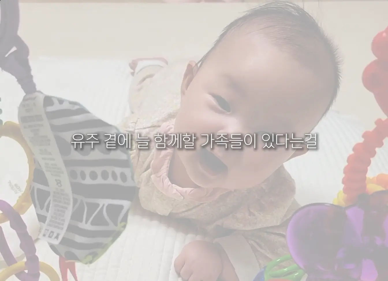 이미지 6
