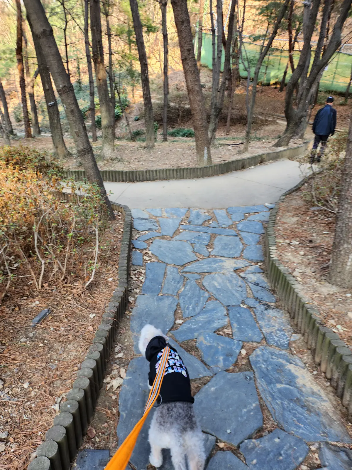 이미지 4